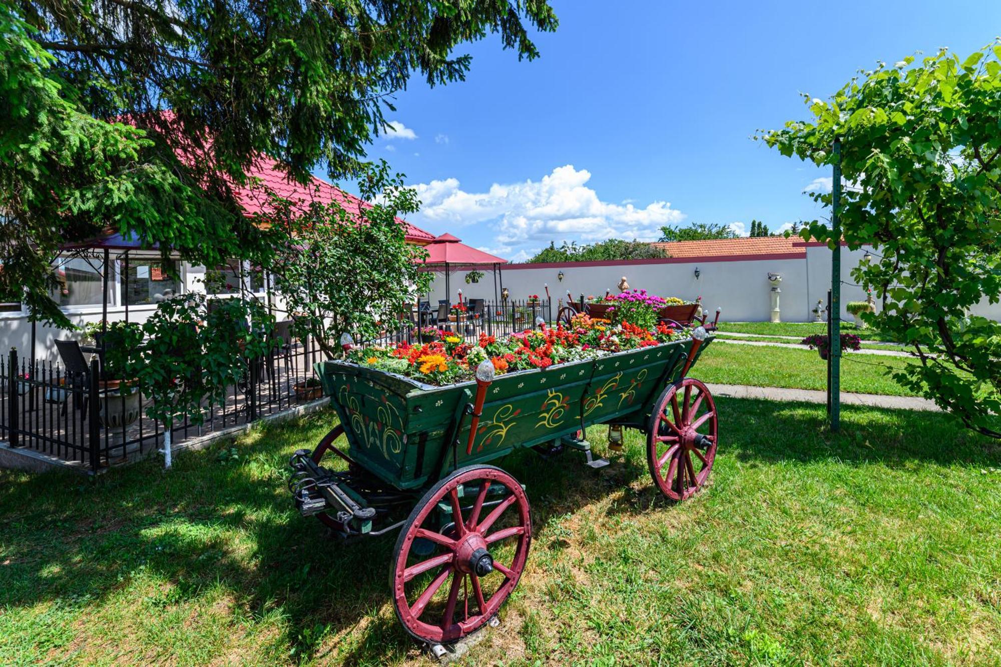 Pensiunea Roma Antica Hărman Dış mekan fotoğraf